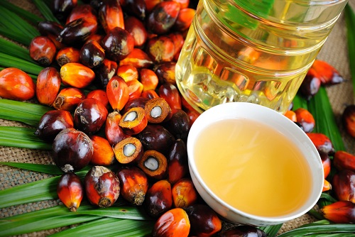 Правительство постановило облагать пальмовое масло по полной ставке НДС